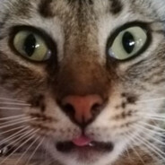 Avatar de LA BATATA COSMICA