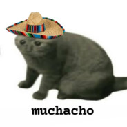 Muchachq