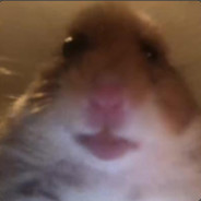 I'm the Grandfather of HAMSTER