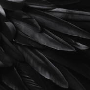 Blackbird