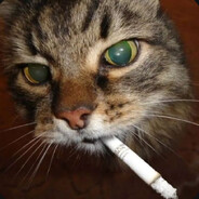 PopCat