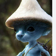 smurf cat