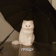 tebya ebet mo1odoy <3
