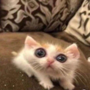 mais