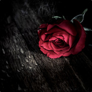 Romantik VIP