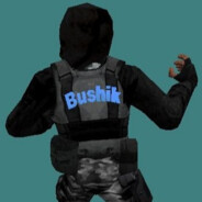 Bushik