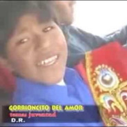 Me recomiendas pofis?