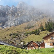 SwissCheese