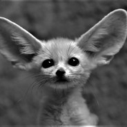 FennekTheFox