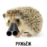 ۞۞۞