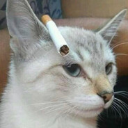 Ed