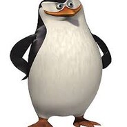 Skipper