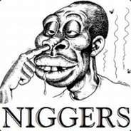 TheNiggaKiller02