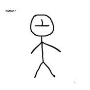 human