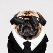 Ephien the Pug