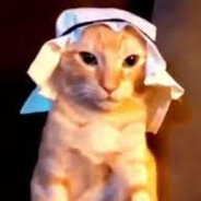 ħάвίвί kedi
