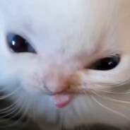 Herbert