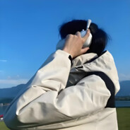 无语的薯条