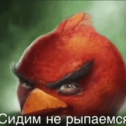 Сидим не рыпаемся