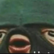 Alan31