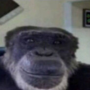 John Monkeyshon