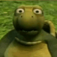 Turbo Turtle