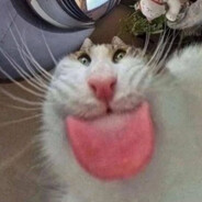 Аватар сообщества Steam