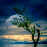 Silent Night