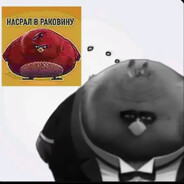 danistigerlev116