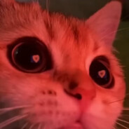 𝙨𝙄𝙜𝙚𝙟