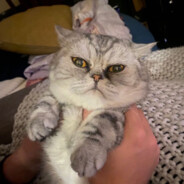 Austieyy