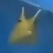 Аватар сообщества Steam