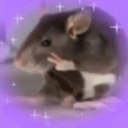 ˢᵘʳⁱᵗᵃ