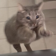 __