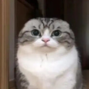 >wwwpointzerocom<
