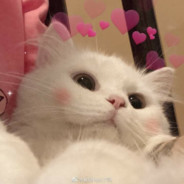 Попа <3
