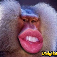 MankeyHair