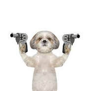wardog