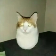 LiamLeDarkness