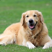 BlondeKeffer