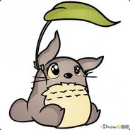 Totoro_Playz