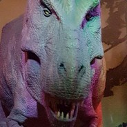 Sharksrcool
