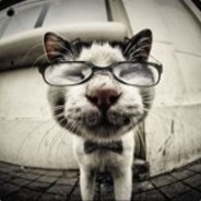 KуRвAA