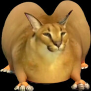 CafiJPS