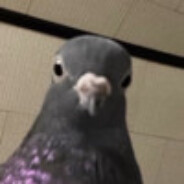 Rezelol