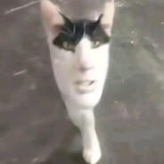 🗿⃤⃢🍷NlGGA
