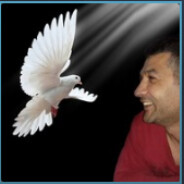 Güvercin BÜLENT