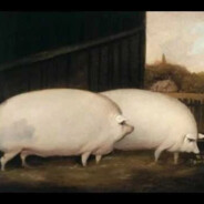 may i have some oats brother