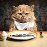 Кот