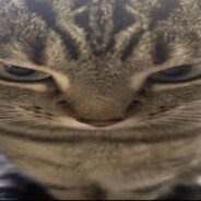 narc